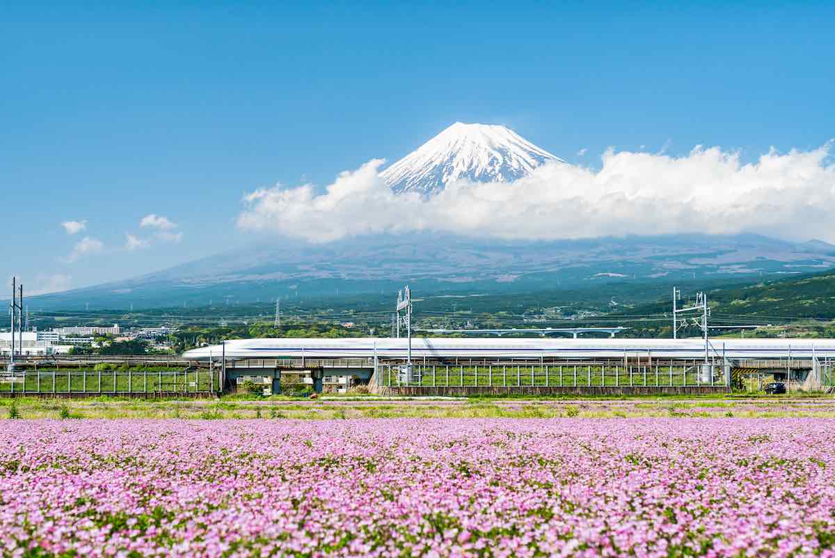 じゃらん パック キャンセル (97) 사진